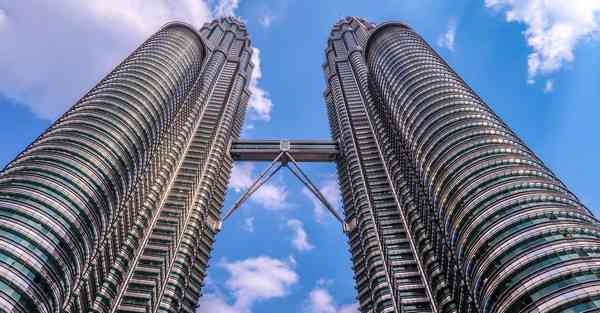 免费greenvnp下载安卓